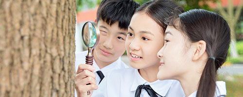 “爸爸真棒”「2023年全國百強高中·海外大學升學榜」出爐！北京民辦國際高中上榜情況整理！